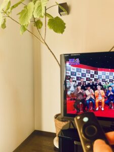 私の好きな時間、テレビでお笑い番組を見ている時間